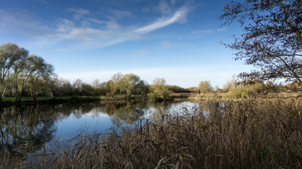 Blick aufs  Wasser , Schilf, Baeume und Himmel mit Wolken im Herbst
