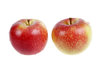 The red apple, close-up