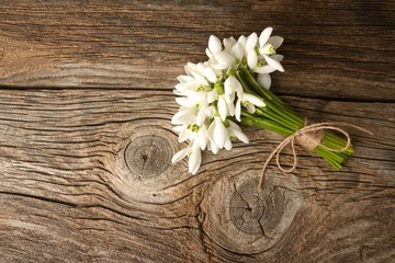 snowdrops bunch on wooden background