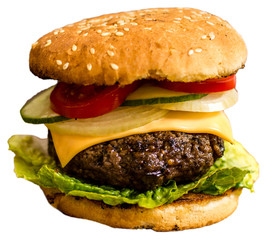 Isolated beef hamburger