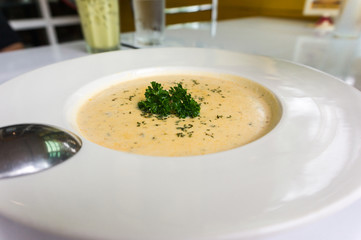 cream soup on white dish