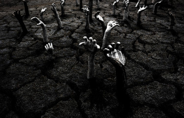 Drought areas of the dead.