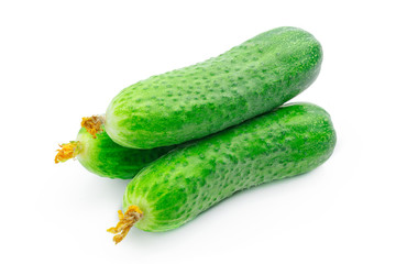 cucumber isolated
