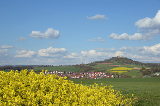 Rapsfeld am Otzberg