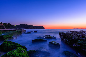 Stone with algae on Narrabeen Beach at sunrise in Sydney Australia