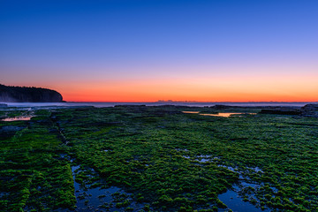 Obraz premium Stone with algae on Narrabeen Beach at sunrise in Sydney Australia