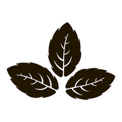 Mint leafes icon vector illustration