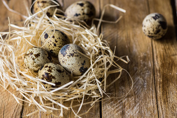 Scattered quail eggs in a straw nest on wood background, kinfolk style, Easter, farming, country life concept