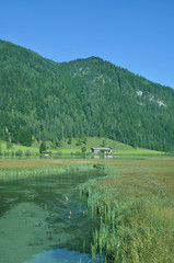 der Pillersee bei Sankt Ulrich am Pillersee im Pillerseetal,Tirol,Österreich