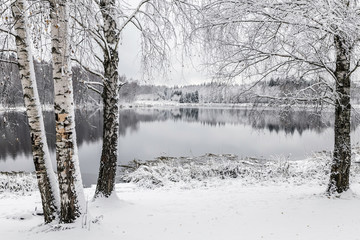 White winter landscape lake in the forest