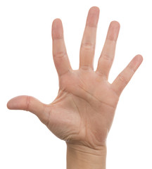 Hand Sign Five Isolated