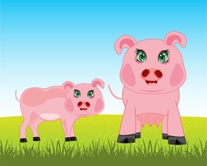 Obraz premium Pigs on meadow