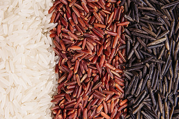 Strips of red, black and white rice close-up. Rice texture background. Macro.