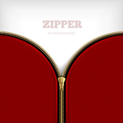  Abstract Background With Golden Metallic Zipper © Macrovector