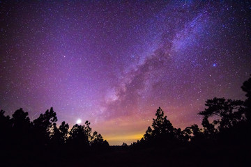 The Milky Way and some trees