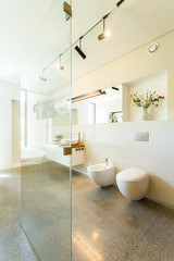 Fototapeta na wymiar Modern bathroom with glass shower