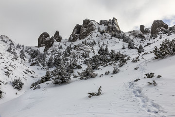 Hikers footpath below rocky cliffs in wintertime