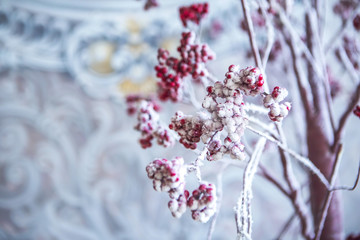 Дерево рябины с красными ягодами в снегу на фоне бело-синего узора на стене