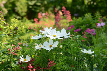 Garten 61