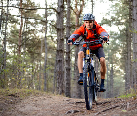 Obraz na płótnie Canvas Cyclist Riding the Bike on the Trail in the Forest. Extreme Sport.