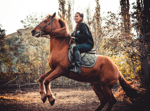 Young beautiful brunette girl rides a horse on a warm and sunny autumn day. Portrait of a pretty young woman on the horse, wearing tall boots and gloves.