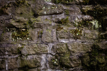 Old stone wall texture with moss on it