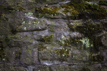 Old stone wall texture with moss on it