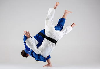 Fototapeta na wymiar The two judokas fighters fighting men