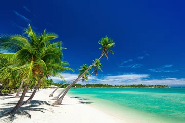 Room darkening curtains Tropical beach Palm trees over white beach on a a Plantation Island, Fiji