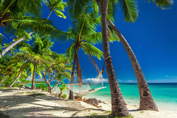 Empty hammock in the shade of palm trees on tropical Fiji Island