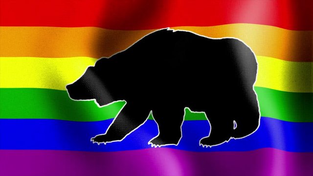 10573 waving rainbow flag with bear
