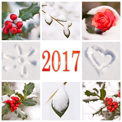 2017, snow and winter red and white nature photos collage