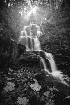 Fototapeta Shipot waterfall. Monochrome