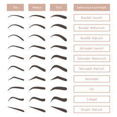 Eyebrow shapes. Various types of eyebrows. Classic type and other. Trimming. Vector illustration with different thickness of brows.  Set with captions. Makeup tips.