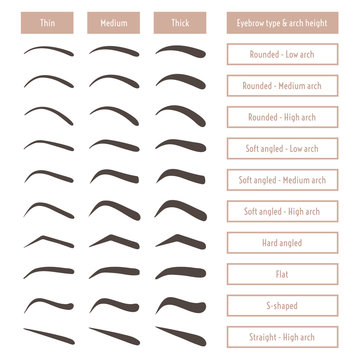 Eyebrow shapes. Various types of eyebrows. Classic type and other. Trimming. Vector illustration with different thickness of brows.  Set with captions. Makeup tips.
