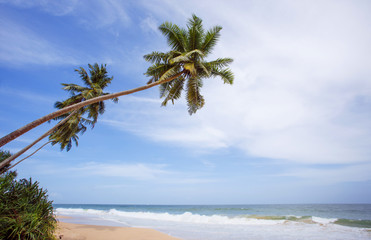 Untouched tropical beach of Sri Lanka. Akurala beach.