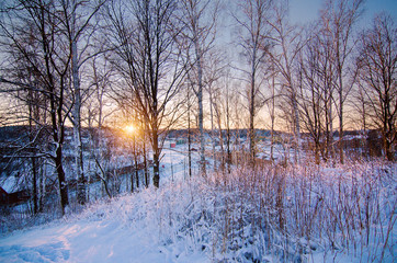 Winter sunny sunset landscape with trees and wooden bench on the hill above city in Sweden, north scandinavian seasonal hipster background.
