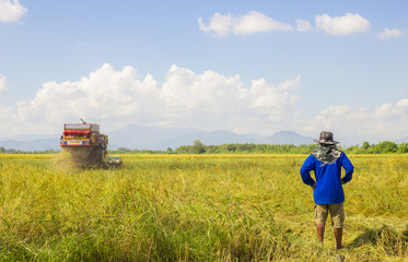Farmer doing harvest by harvester.