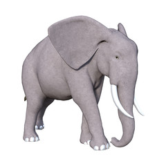 3D Rendering Elephant on White