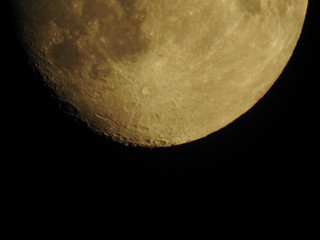 lune © nono