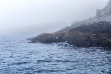 Fototapeta na wymiar Majestic sea and rocks in heavy fog in Northern Norway