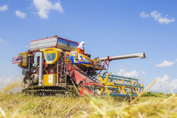 Fototapeta premium Farmer doing harvest by harvester.