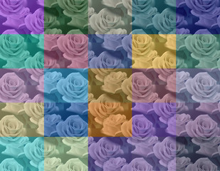 roses background