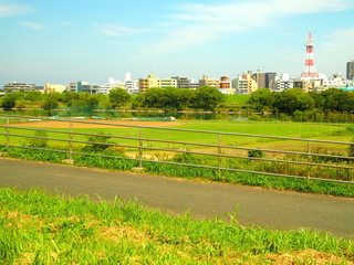 Obraz premium 秋の江戸川河川敷風景