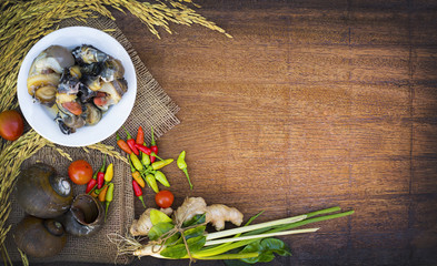 Top view food asian shell on the wood and curry spices. Texture background shellfish . wooden clear
