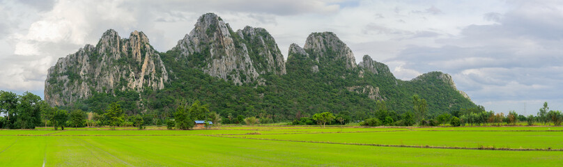 Fototapeta premium Mountains and rice fields