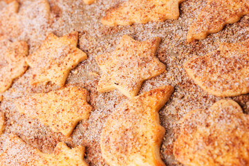 Closeup of different cookies on the baking sheet