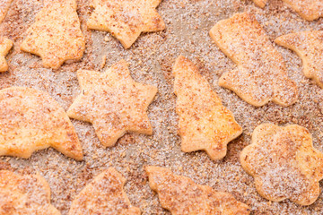 Closeup of different cookies on the baking sheet