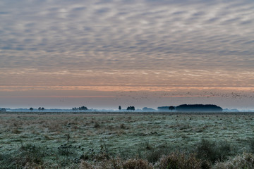 Sunrise in National Park Drentsche Aa