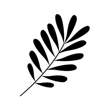 Black leaf Silhouette with ramifications vector illustration